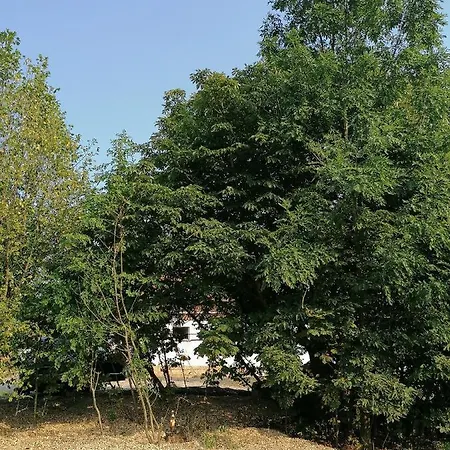 Campsite Weides *